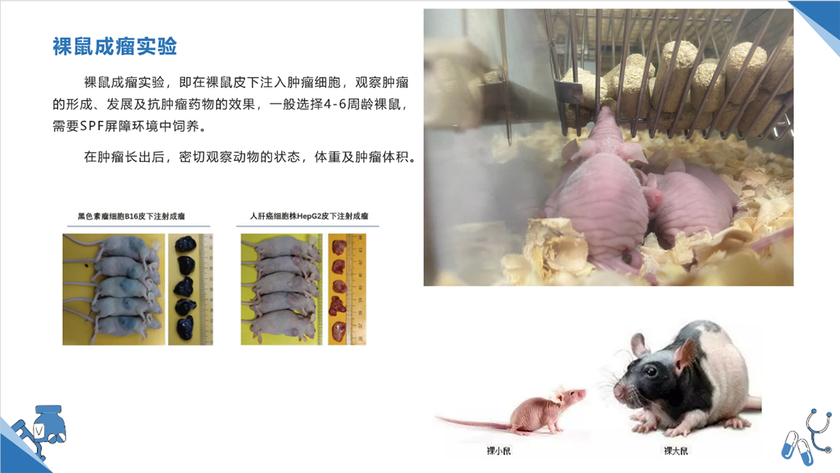 圖片12.jpg