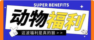 銷售（shòu）活動（dòng） 丨 實驗動物85折出售（shòu）