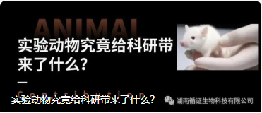 實驗動物究竟給科研帶來了什麽？